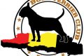 CETS  Continental Bull Terrier Trophy Show - BELGIUM - January 2017