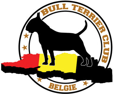 CETS  Continental Bull Terrier Trophy Show – BELGIUM – January 2017