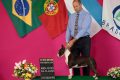 BRASILIA DOG SHOW MAY 2016 - BRAZIL