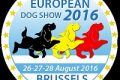 EUROPEAN DOG SHOW BRUXELLES 28/8/2016