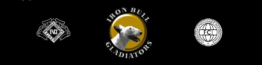 Ironbullgladiators